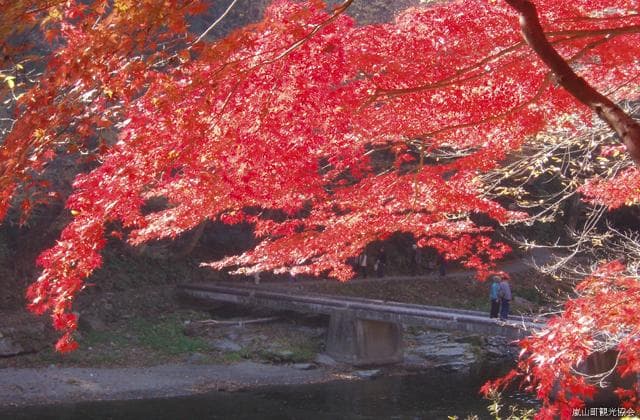 Arashiyama Valley (foliage near Shiozawa Flood Bridge)