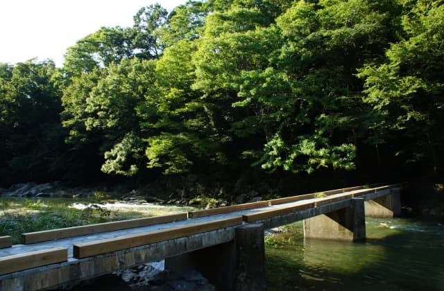 Submerged bridge