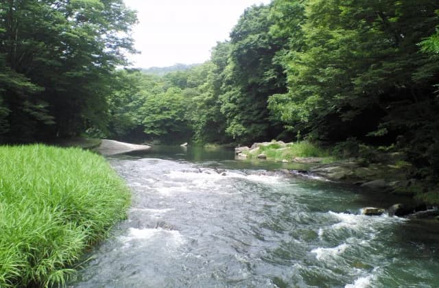 Early summer