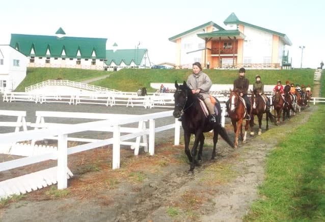 Horse riding club