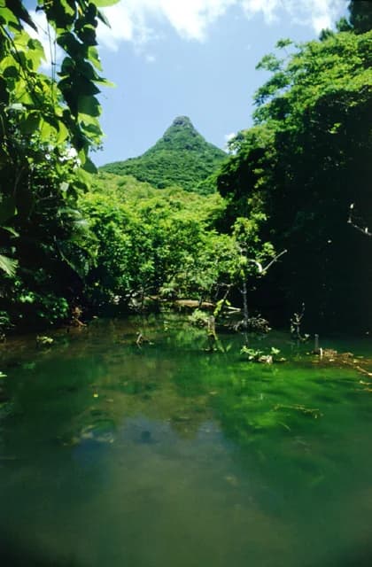 Mt. Nosoko