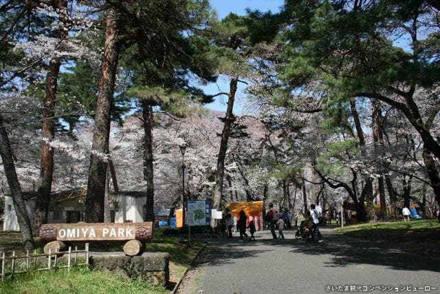 Omiya Park