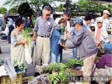 Oamishirasato-machi Morning Market