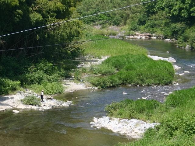 Kishi River, sweetfish fishing