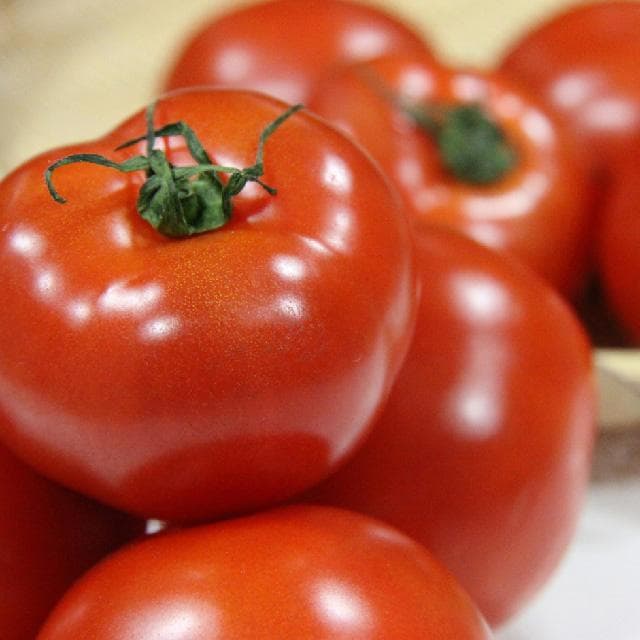 Tomato