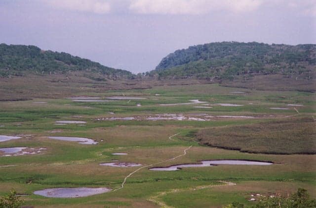 Uryunuma Marsh