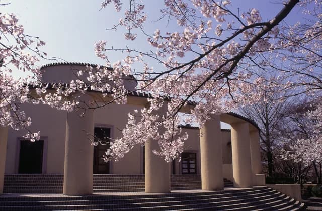 Cherry blossoms and azaleas of the former Tama Seiseki Memorial Hall
