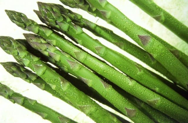 Asparagus