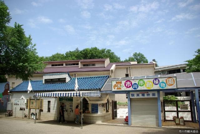 Ichikawa Zoo and Botanical Garden