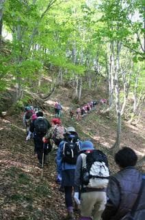 葉山