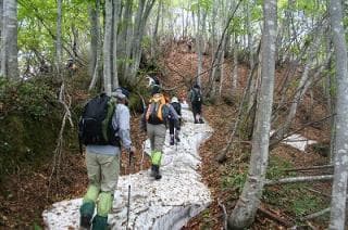 葉山