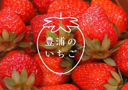 Toyoura Strawberry