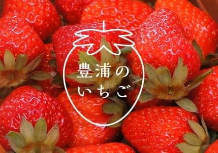 豊浦いちご