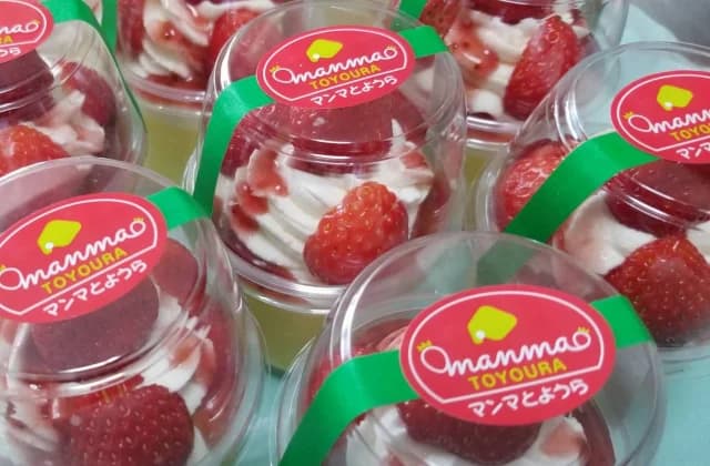Toyoura Strawberry 4