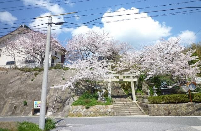 Ten Sashi Hikomei (Ichinomiya) Shrine