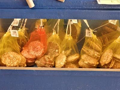 Roadside station and Yora Live Scallops Direct Sales