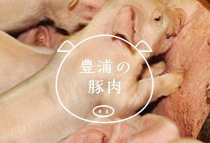 豊浦産SPF豚