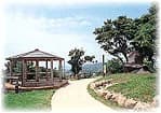 Manyo Park