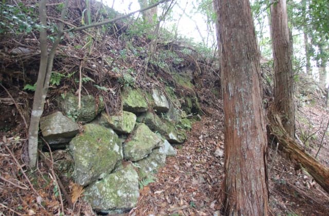 Yagi Castle Ruins