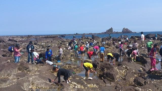 三ツ石海岸の磯遊び