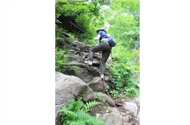 Mt. Hyonosen
