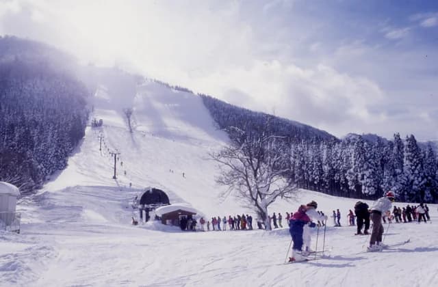 Mt. Hyonosen