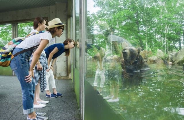 ベア・マウンテン