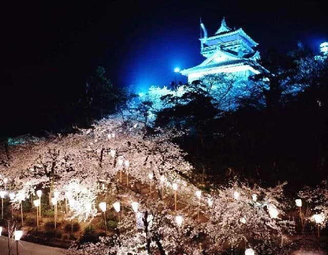 Cherry blossoms at Kasumiga-jo Castle Park