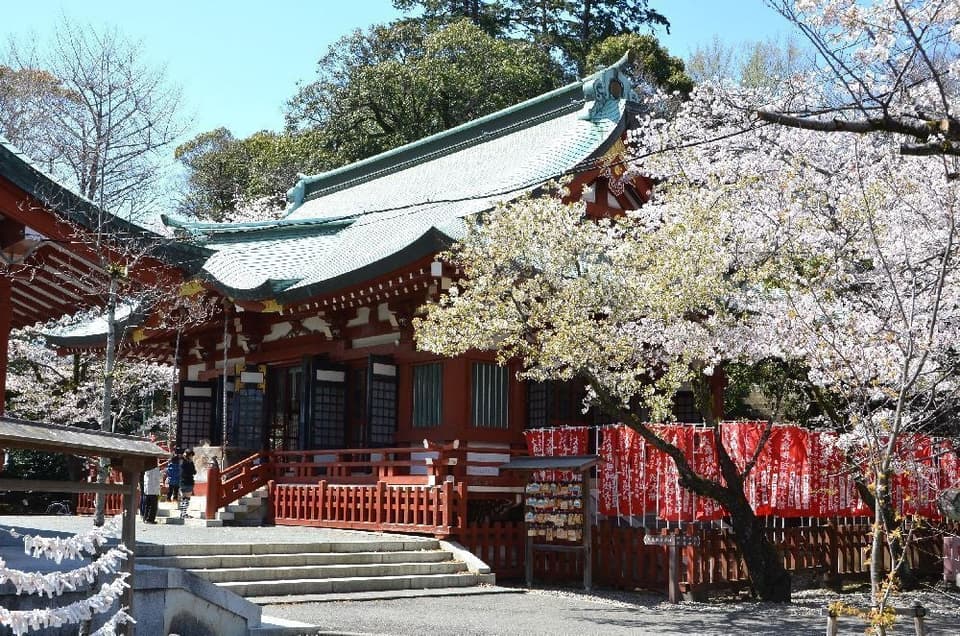 静岡浅間神社(賤機山公園)の桜