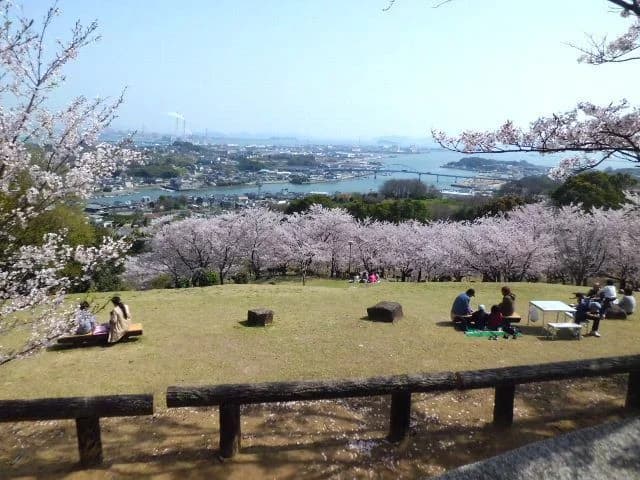 Cherry blossoms at Entsuuji Park