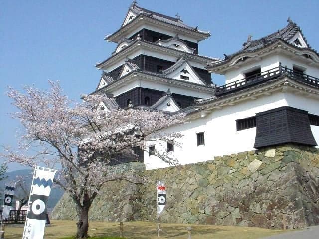 Cherry blossoms at Tomisuyama Park, Shiroyama Park, and Gion Park