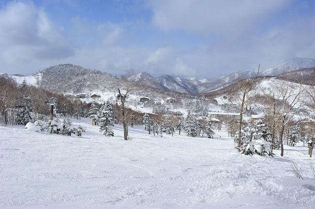 The Tanne no Mori Okojo Ski Resort in the central area of Shiga-kogen