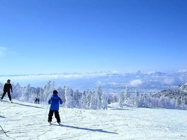 Shiga-kogen Central Area "Terakoya Ski Resort"