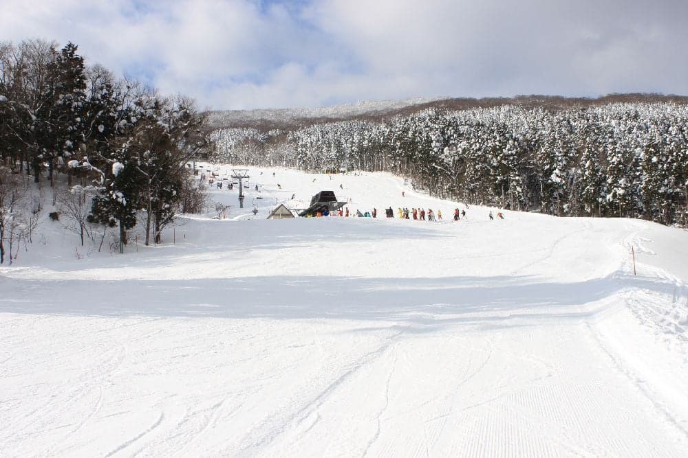 Forest of Hiroshima Prefectural Citizens