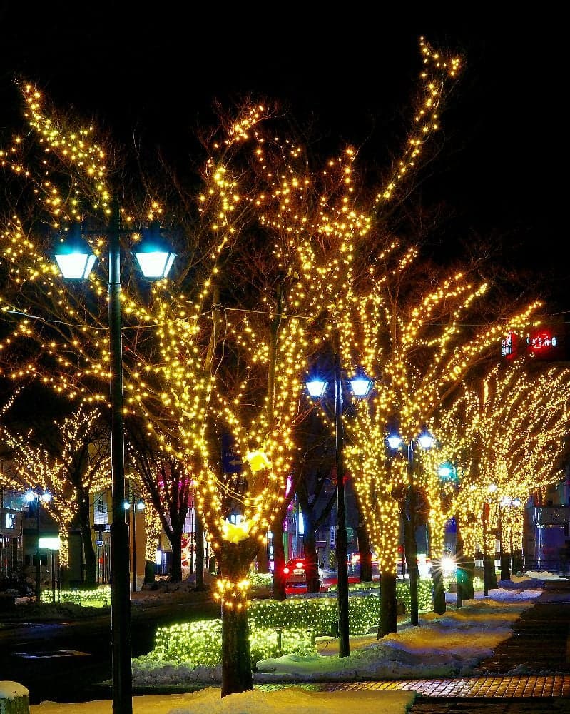 2024~未来につなぐ~陣屋通りイルミネーション