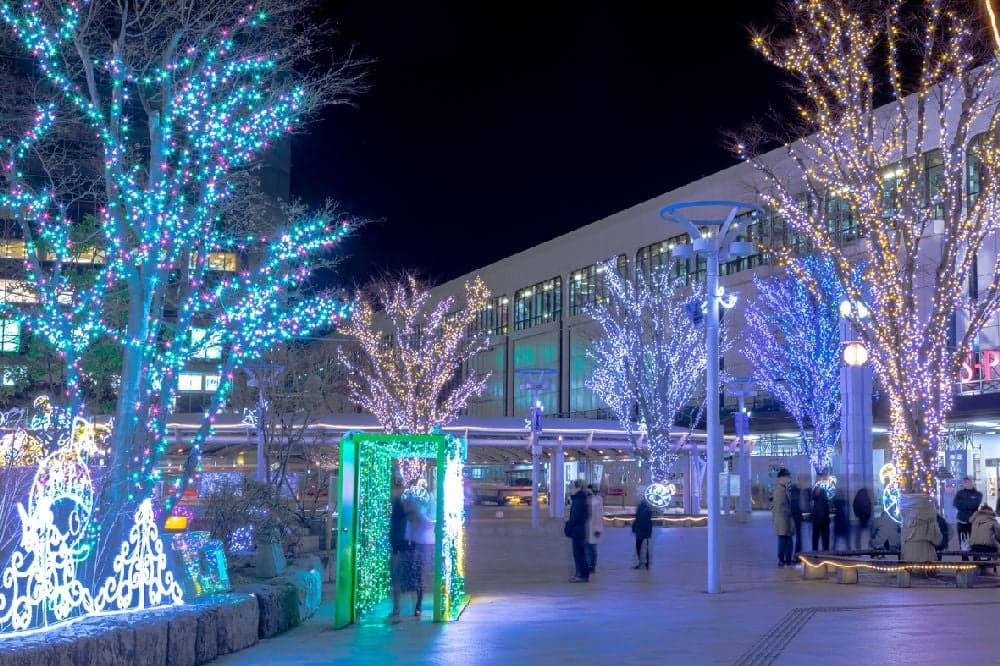 Big Tree Pageant Festa in KORIYAMA