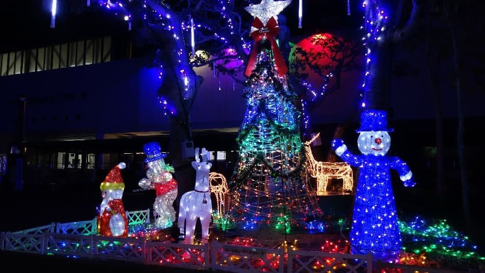 Dream Nalie Castle Memorial 2023