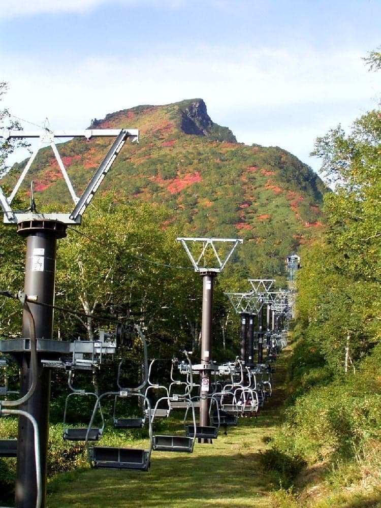 大雪山(黒岳)の紅葉
