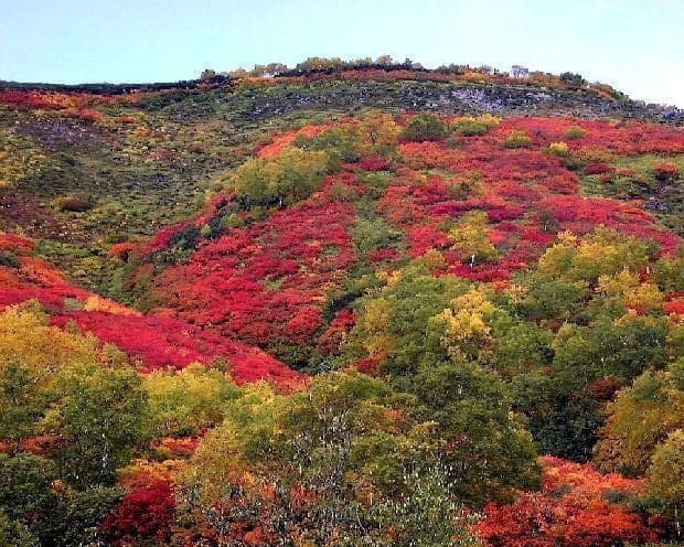 大雪山(赤岳、銀泉台)