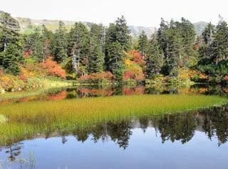 大雪山(高原温泉)の紅葉