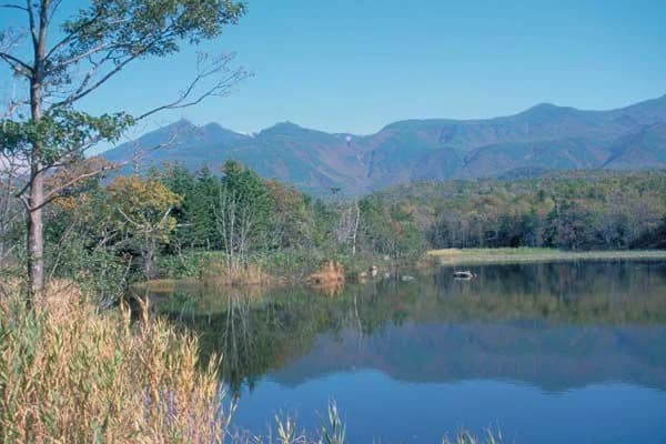 Autumn leaves of Shiretoko Goko Lakes