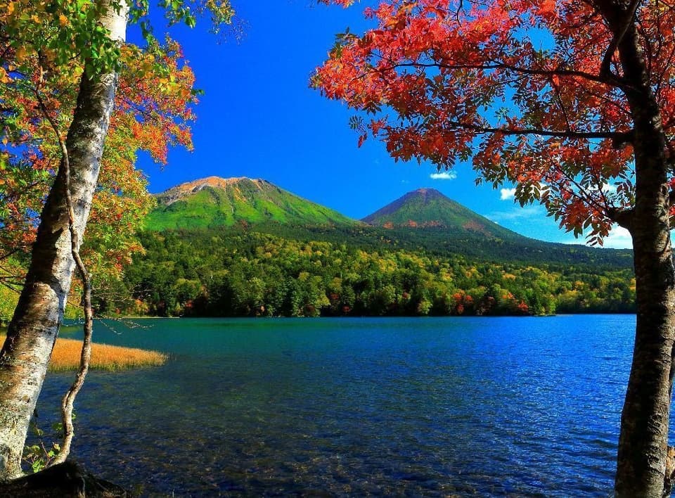 オンネトーの紅葉