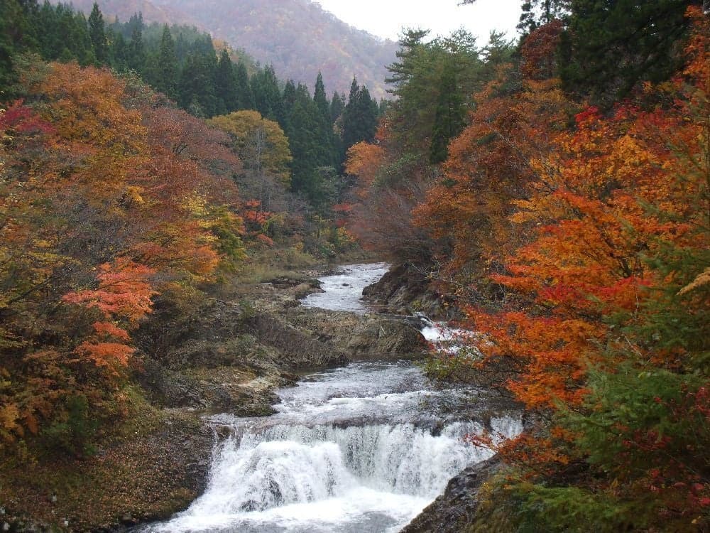 Autumn leaves in the Sendai River valley