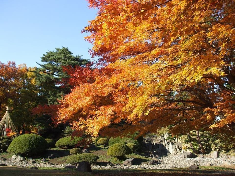 弘前公園(弘前城)の紅葉