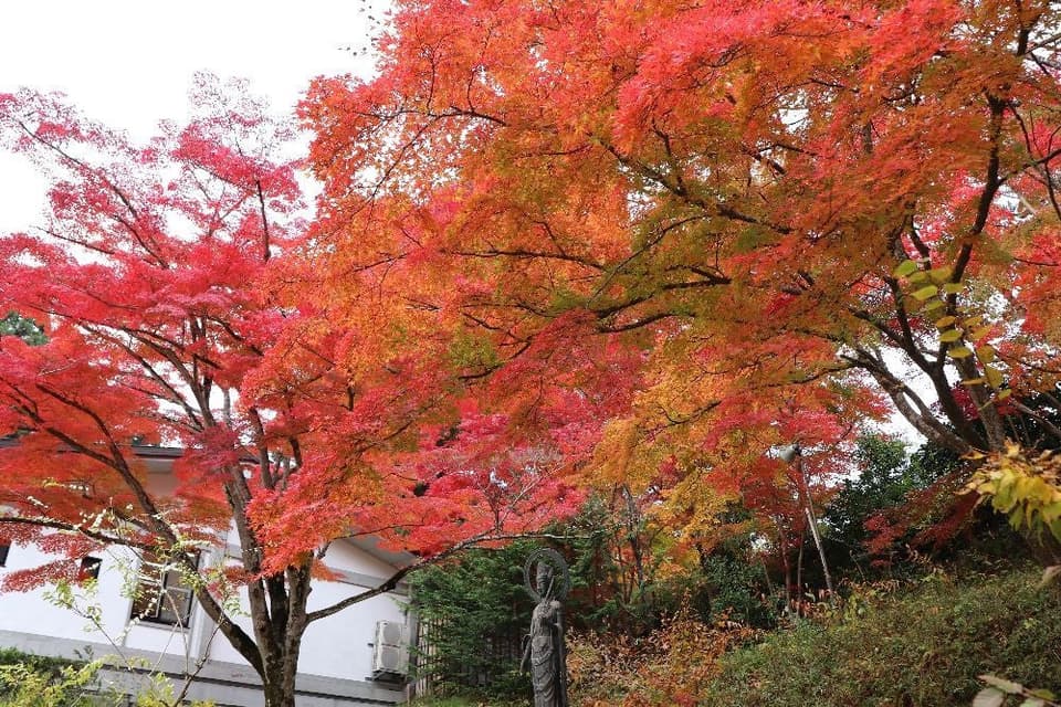 中尊寺の紅葉