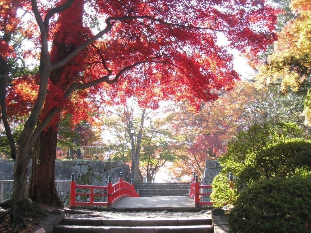 Morioka Castle Ruins Park (Iwate Park)