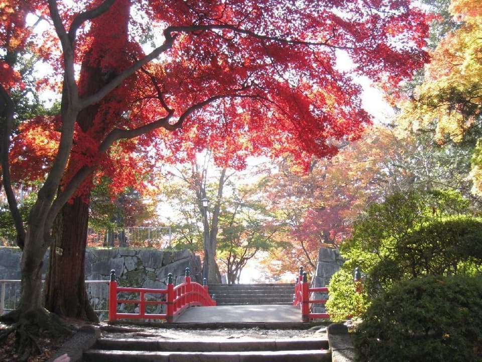 盛岡城跡公園(岩手公園)