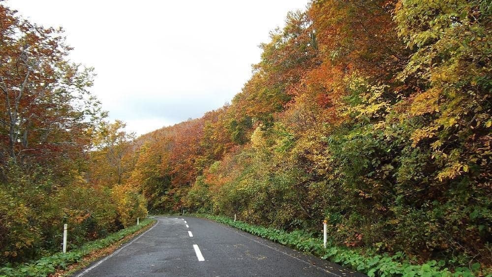 Autumn leaves of Mt. Chokai