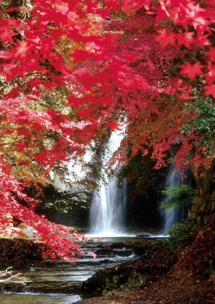 Autumn leaves of Tsukimachi Falls