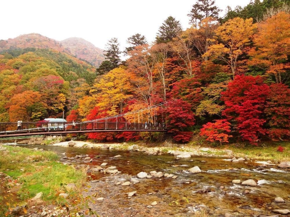 Autumn leaves of Shiobara